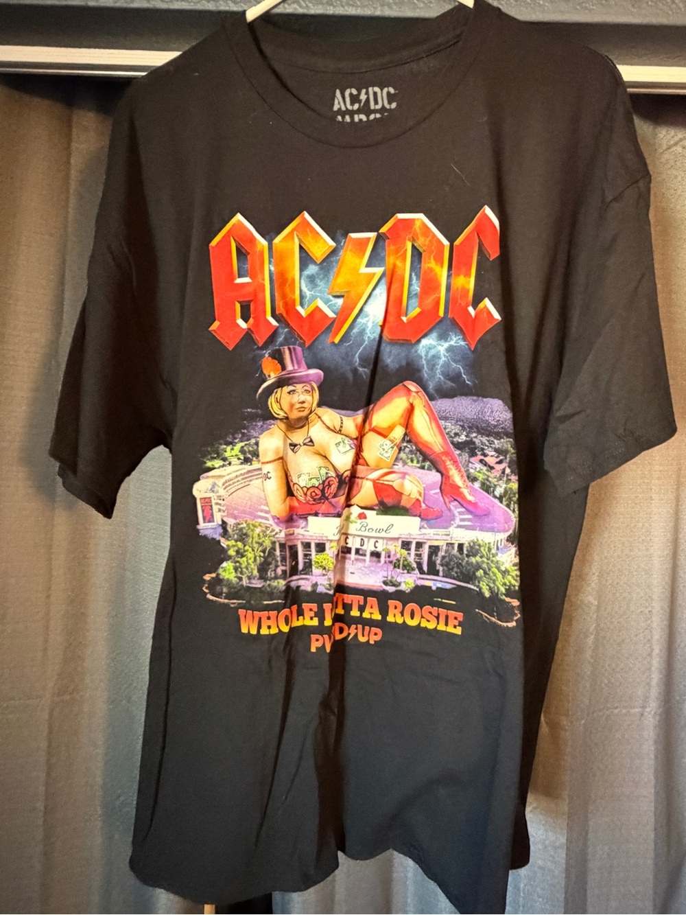 AC/DC purchased this when I saw them at the Rose Bowl last year .